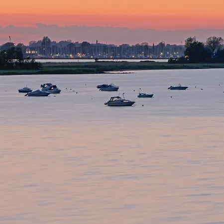 Musica * 올페니츠